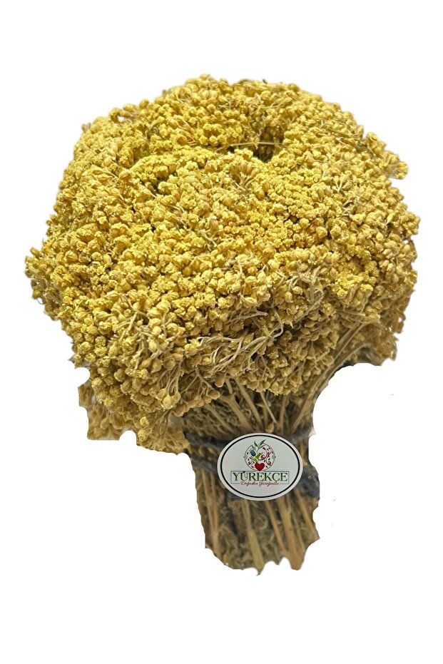 Civan Perçemi 1 Demet - 1