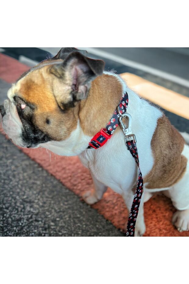 Paws Red, Köpek Boyun Tasması, Köpek Gezdirme Kayışı Set, - 8