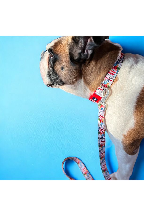 , Travel, Köpek Boyun Tasması, Köpek Gezdirme Kayışı Ikili Set, Boyun Tasması Ve Gezdirme Kayışı - 3