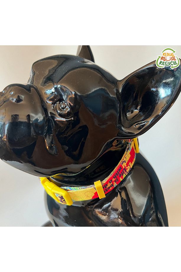 Sarı, Köpek Boyun Tasması, Recycled, Geri Dönüştürülmüş, Tasma, - 4