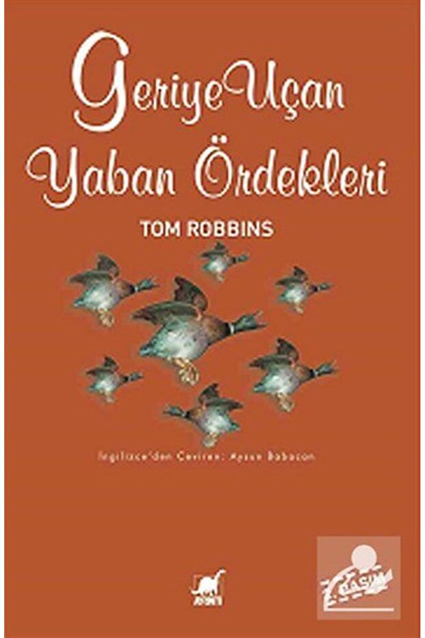 Geriye Uçan Yaban Ördekleri