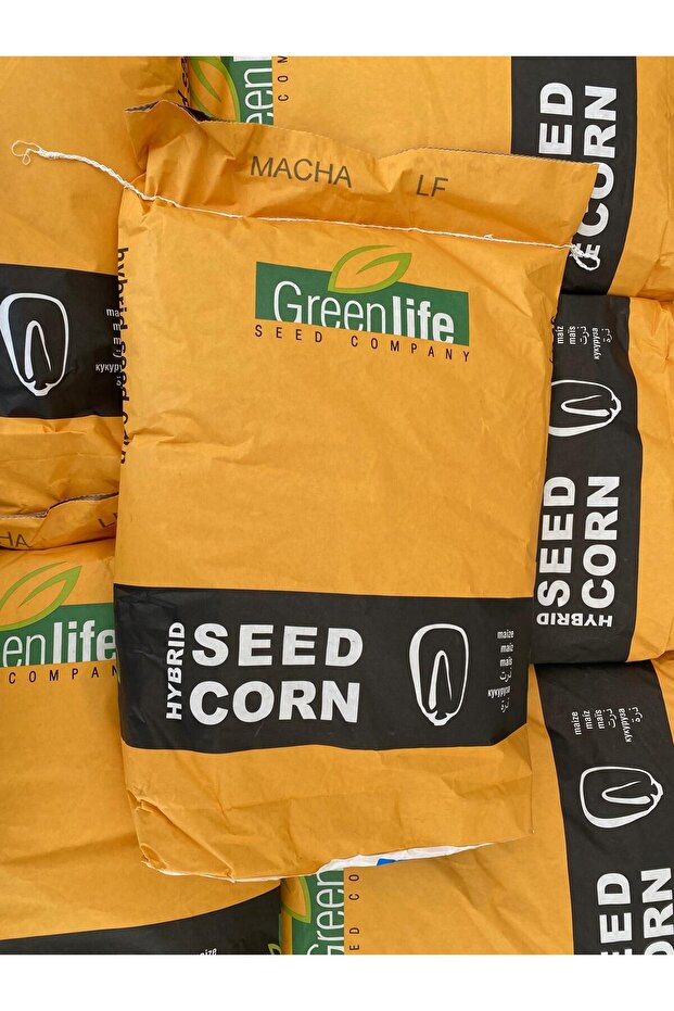 MACHA MISIR TOHUMU - 1