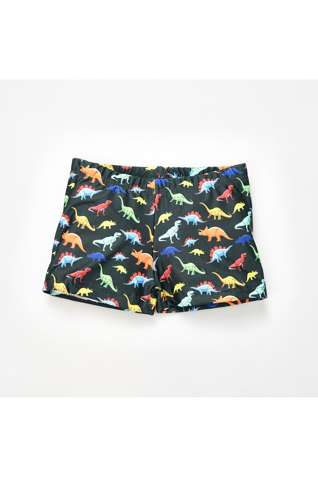 Navy Blue Boys' Trunk Swimsuit