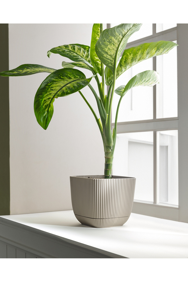 Abella Saksı 4000 ml - 2