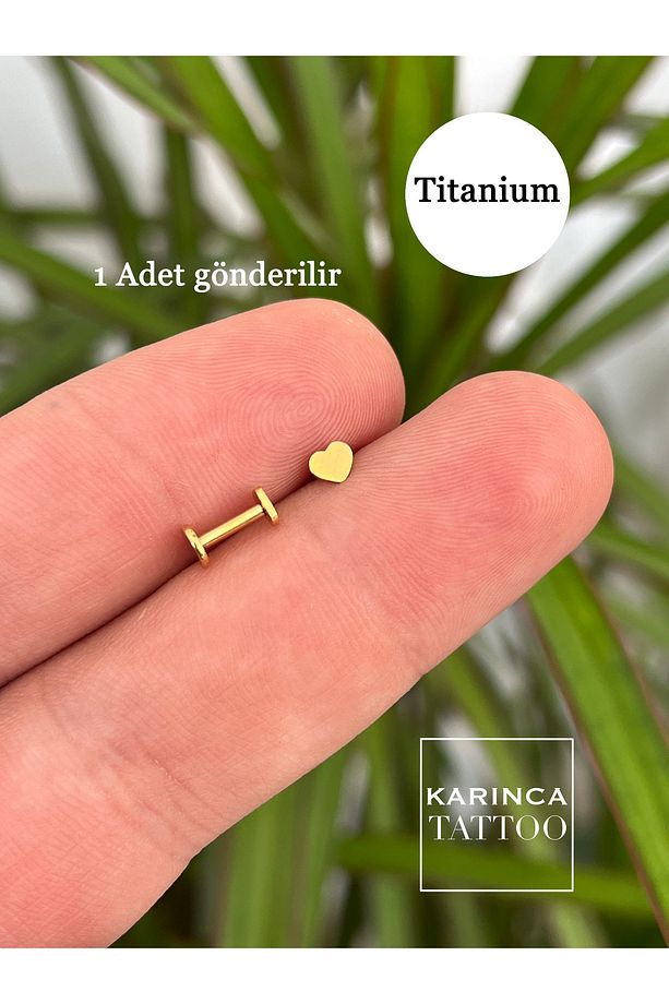 %100 Titanyum Piercing Küçük Kalp Forward Helix Kulak Labret Flat Conch Burun Tragus Piercing Küpe - 5