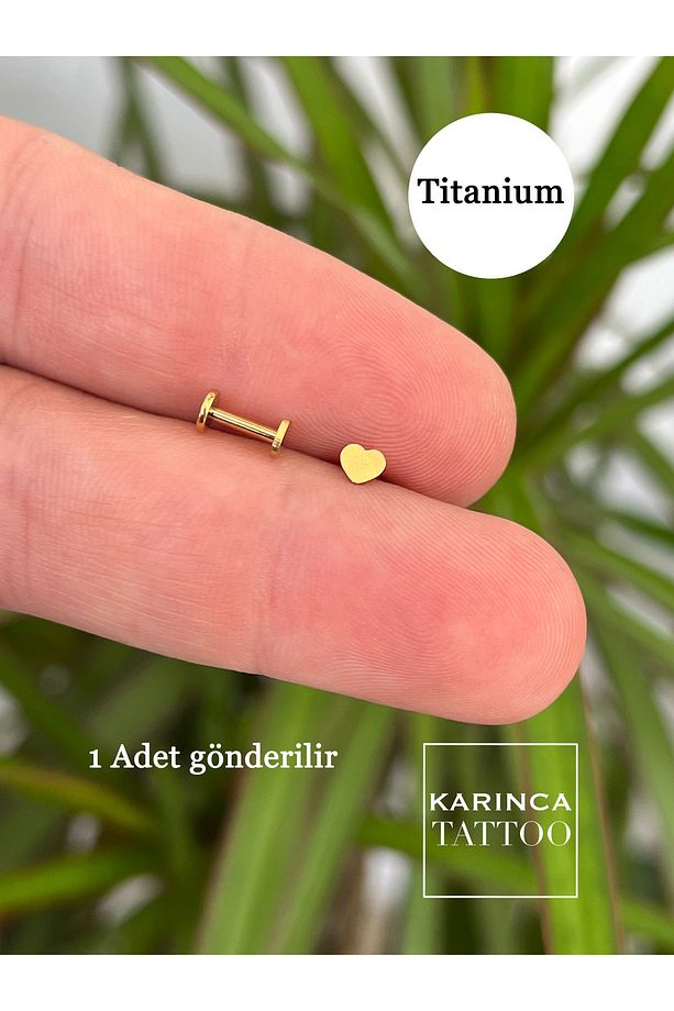 %100 Titanyum Piercing Küçük Kalp Forward Helix Kulak Labret Flat Conch Burun Tragus Piercing Küpe - 6