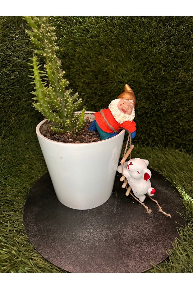 Sevimli Saksı Cüceleri - 2