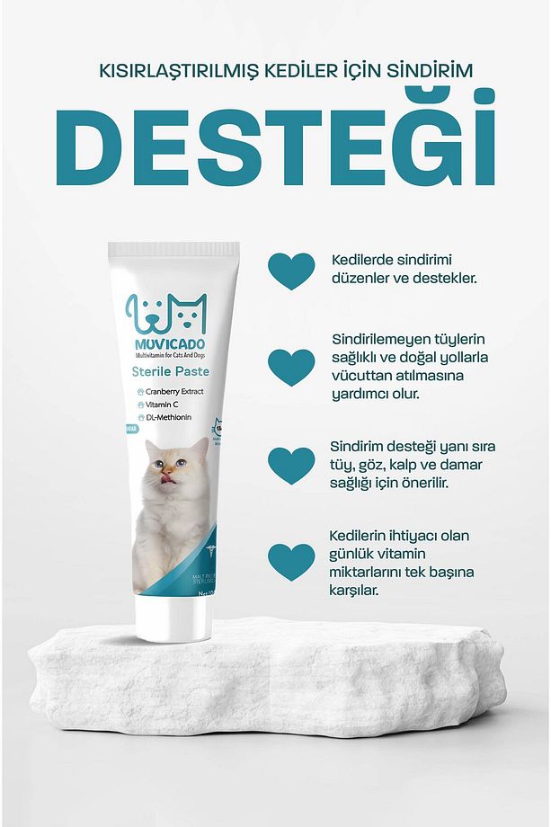 Kedi Tüy Yumağı Önlemeyi Destekleyen Malt Macun - Şekersiz ve Veteriner Onaylı Kedi Malt Seti - 6