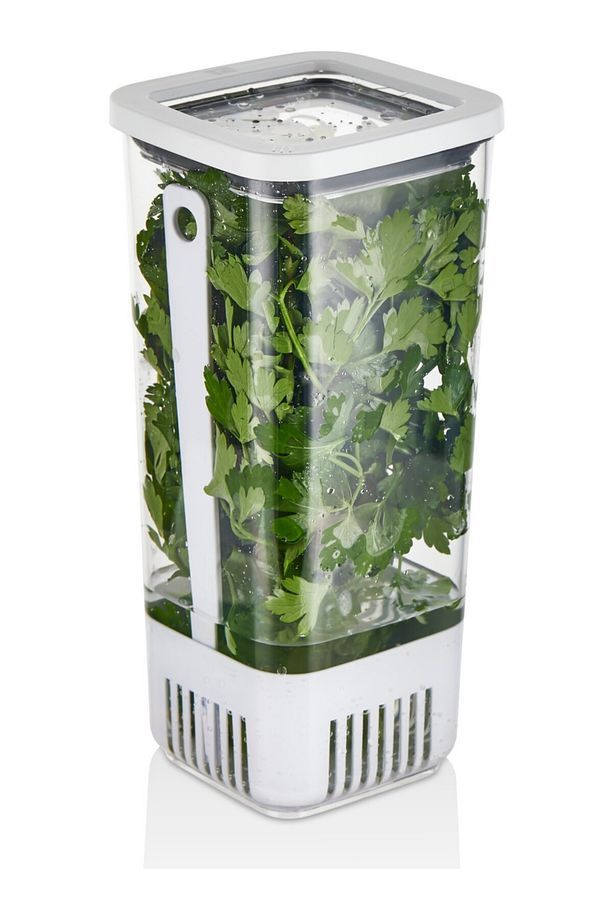 Kare Yeşillik Saklama Kabı, 1700 ml - 3 Adet - 4