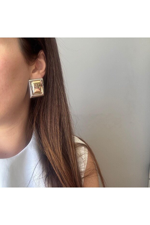 Çelik cait plaka küpe - 3