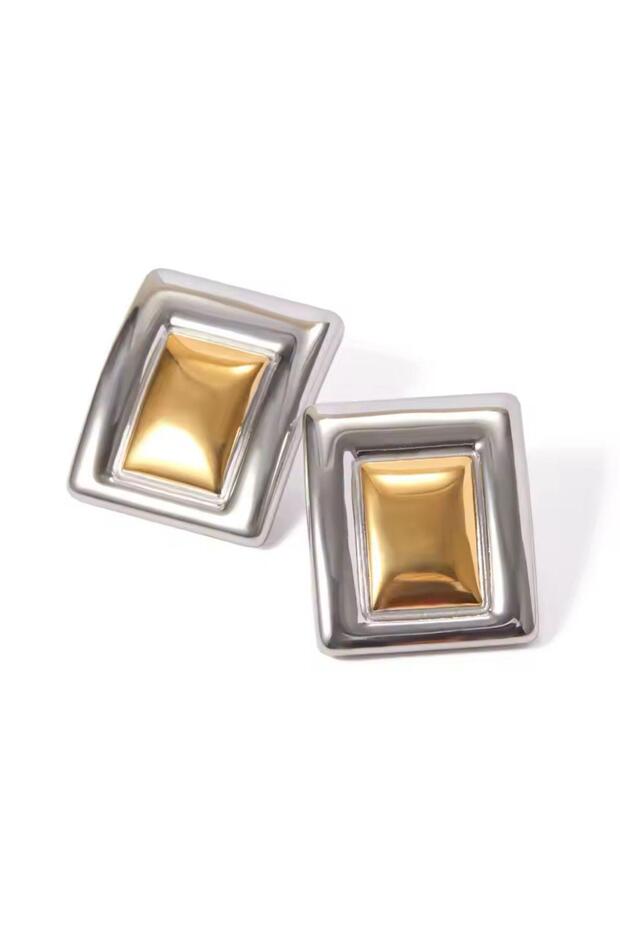 Çelik cait plaka küpe - 6