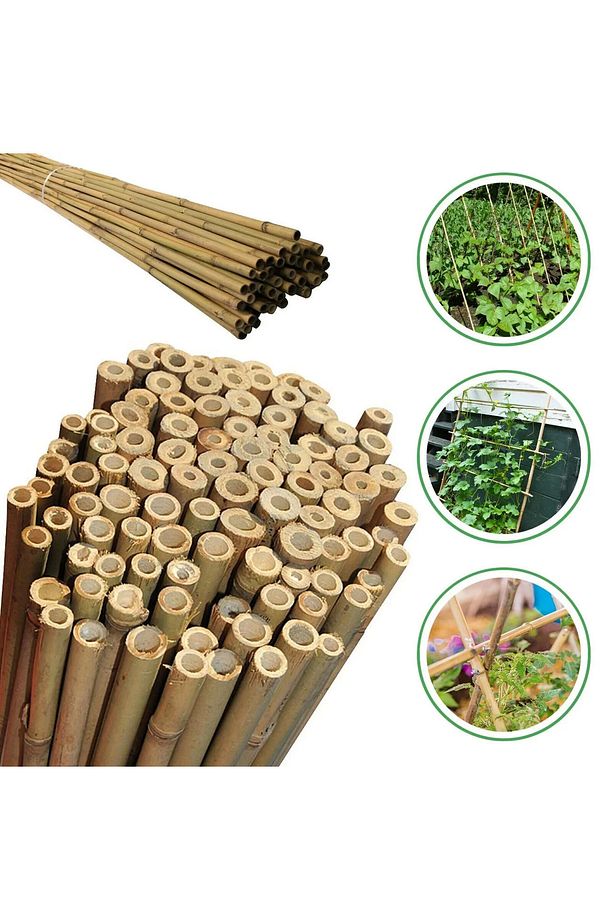 10 âdet 200 cm (2 metre) uzunluğunda bambu kargı kamış bitki destek çubuğu - 1