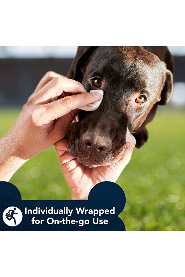 قطرات الحيوانات الأليفة | محلول لانوستيرول المتقدم (60 قطعة) - 7