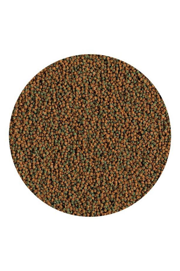 Cichlid Algae Mini 100 gr - Açık - 1