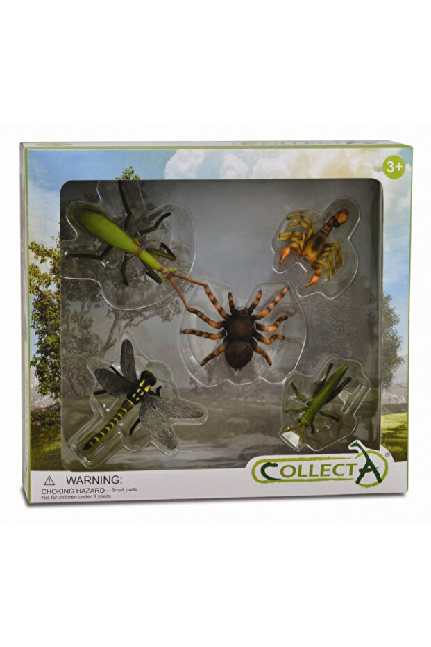 Set 5 Figurine Insecte - - 2