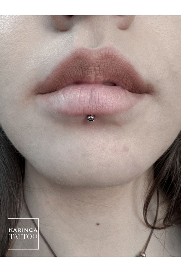 Kulak Tragus Dudak Snake Bites Conch Helix Labret Piercing Delim Seti Iğne Piercing Set - 7
