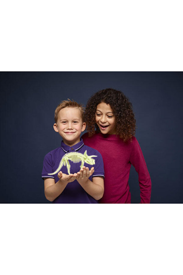 Reflective Triceratops Skeleton - 2