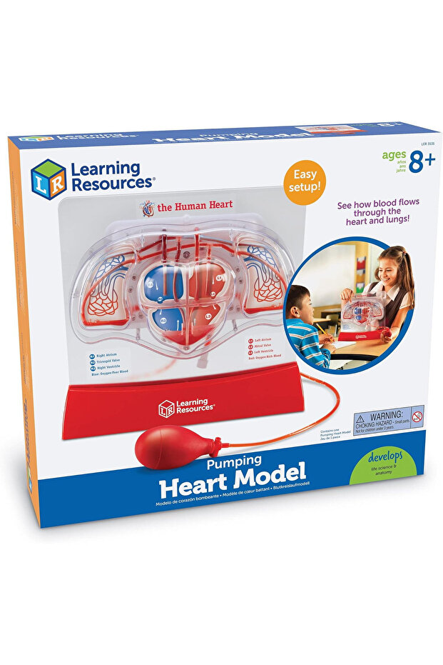Model srdce pumpující - 5