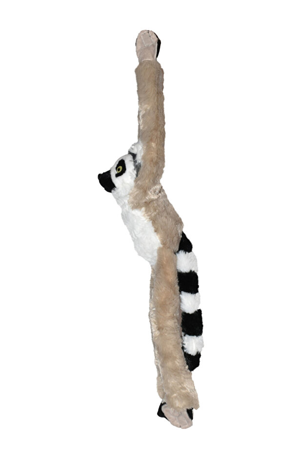 Lemur Clinging Monkey - 4