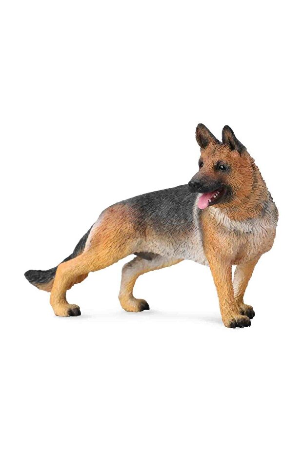 Ciobănesc german - 1