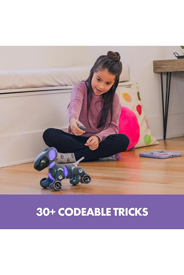 Pyxel - Prietenul programatorului - 6