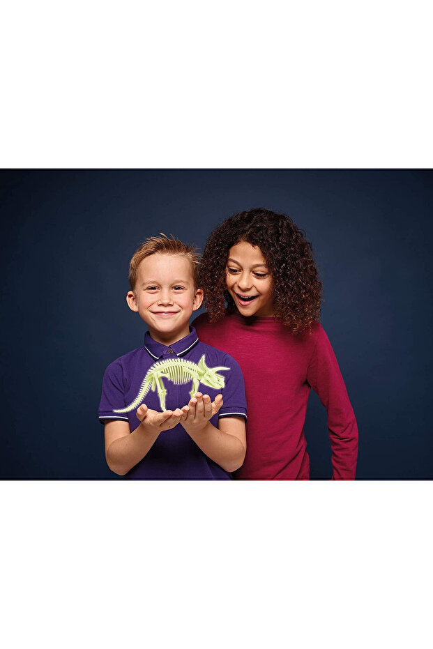 Reflective Triceratops Skeleton - 4