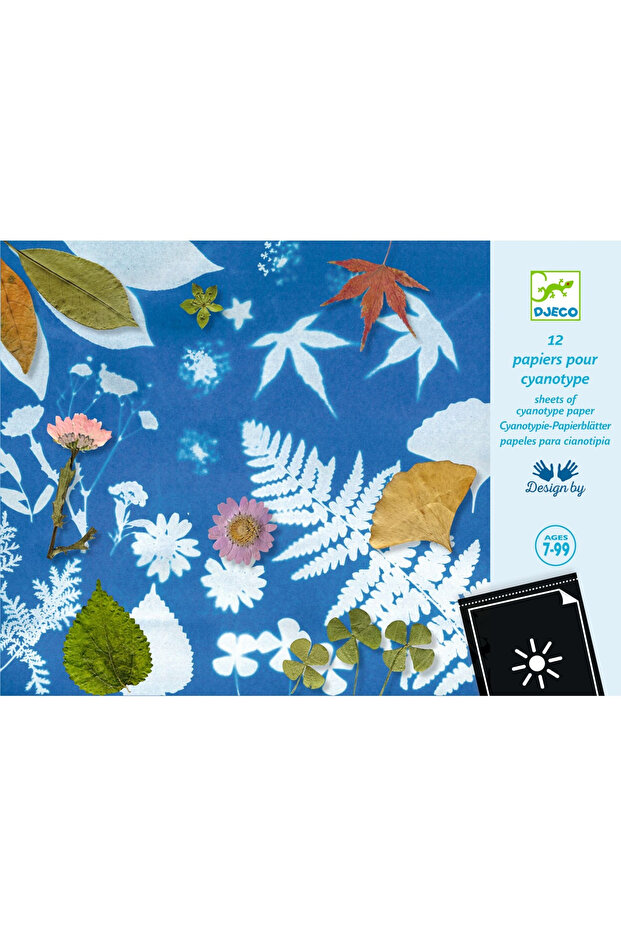 Cyanotype Paper, Photosensitive, Various Patterns, Marked With Negative Patterns,