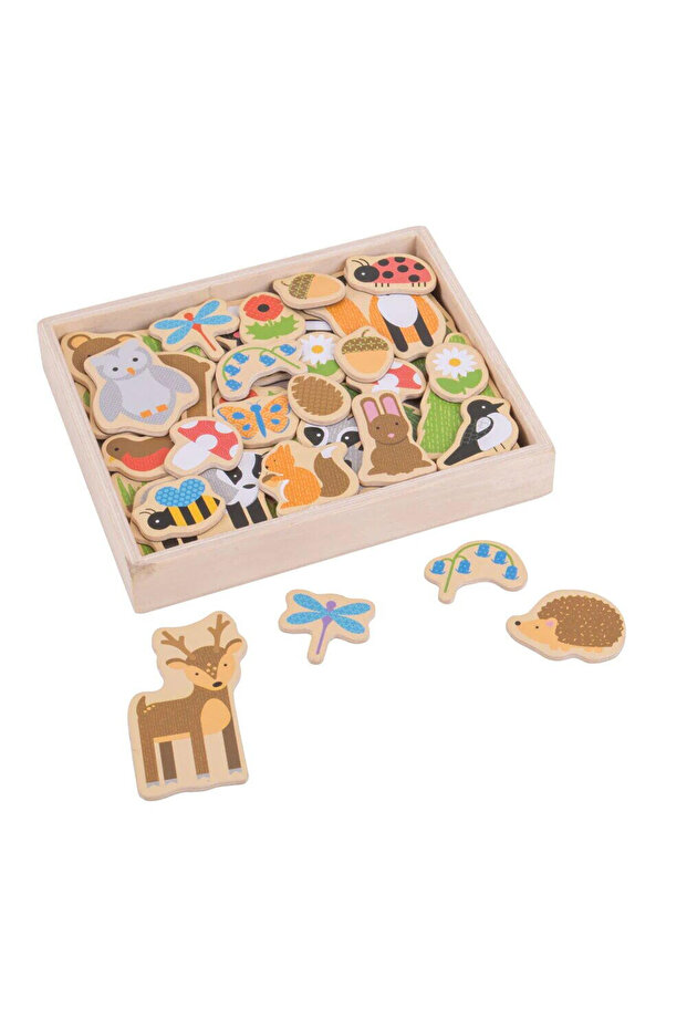 Magnetic set - Forest animals - 1