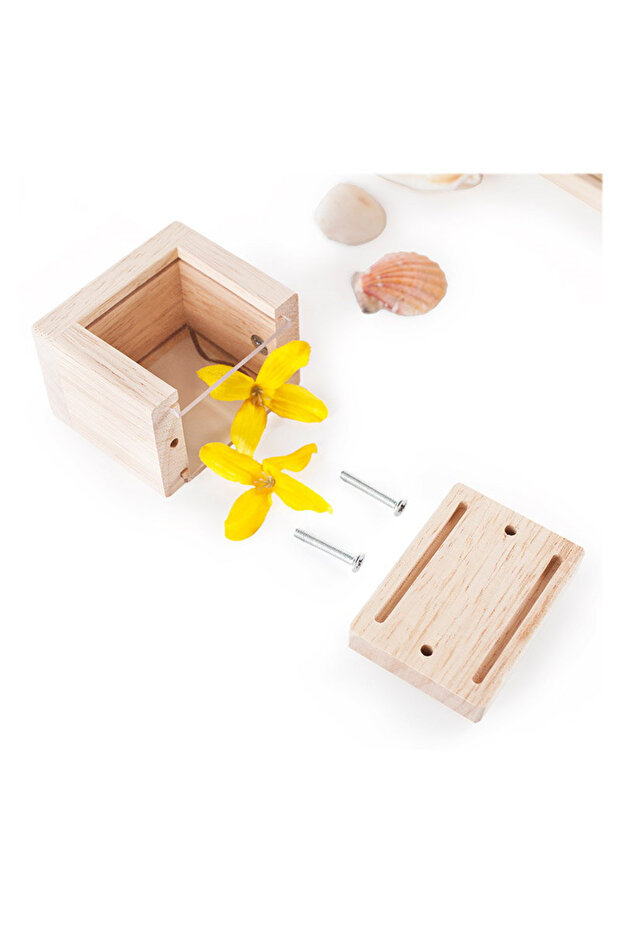 Blocuri de comori clare, - 5