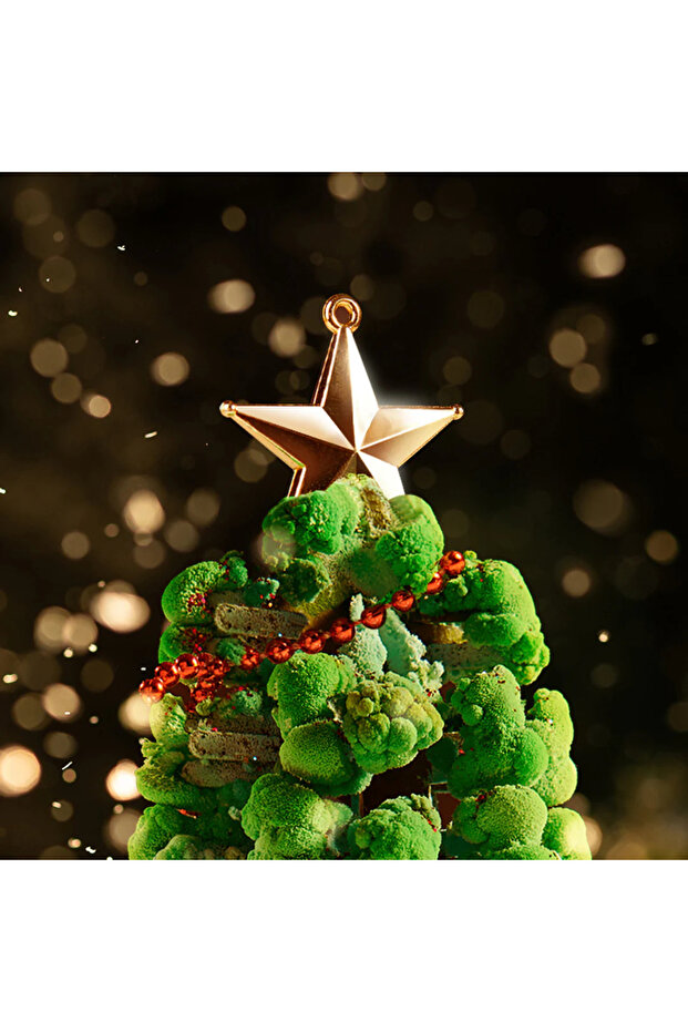 Magic Christmas Tree, Creative Stem Set, Salt Experiment Set - 4