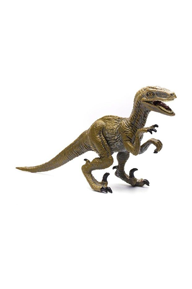 Velociraptor - 1