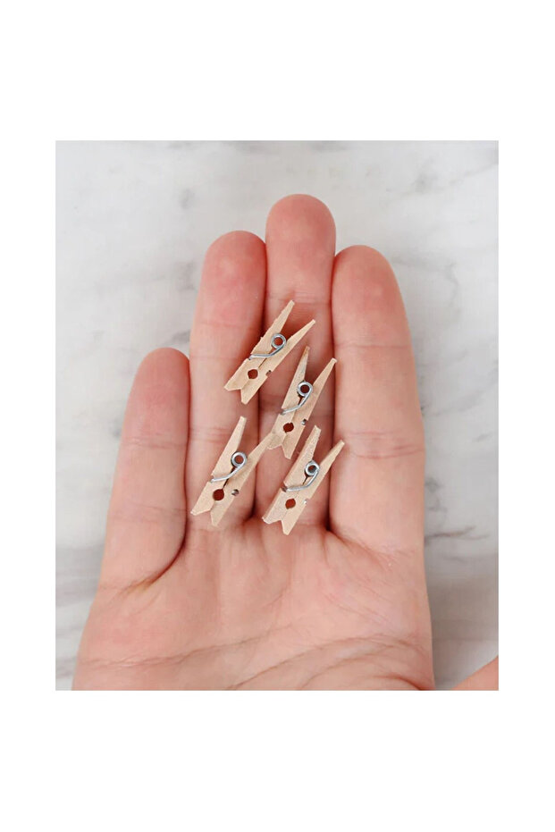 Mini Presentation Pegs 10Pcs Royaleks-Mln30262