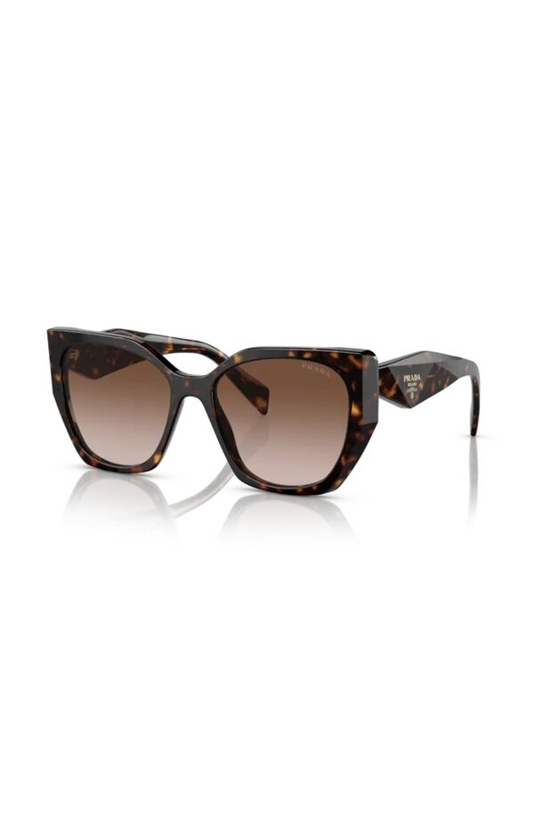 Pr 19Zs 2Au6S1 55 Women's Sunglasses