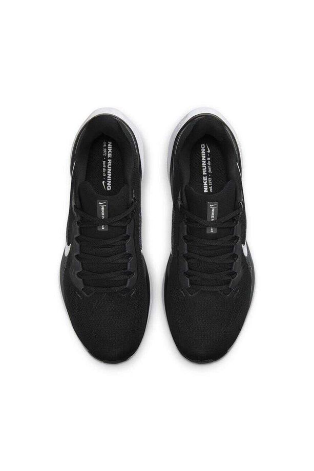 Aır Zoom Pegasus Erkek Ayakkabı Fd2722-002 - 8