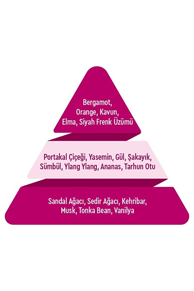 Classic Kadın Parfüm Edt 75 ml - 4