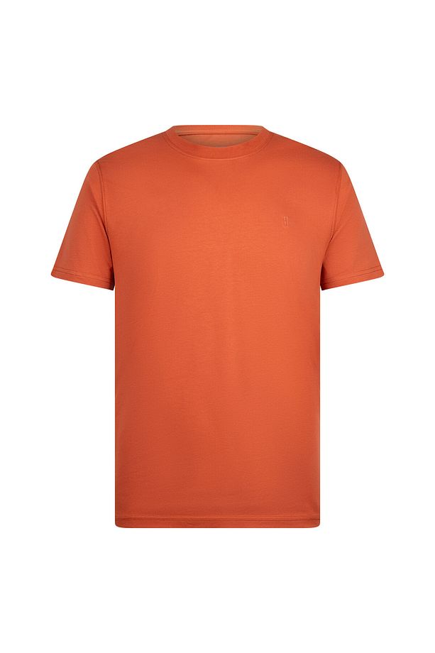 Kiremit Regular Fit Bisiklet Yaka Pamuklu Basic Tişört - 1