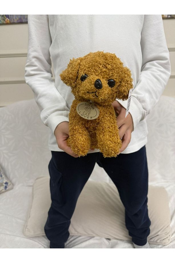 Poddle Kahve Köpek Peluş 20 Cm  Uyku Ve Oyun Arkadaşı - 3