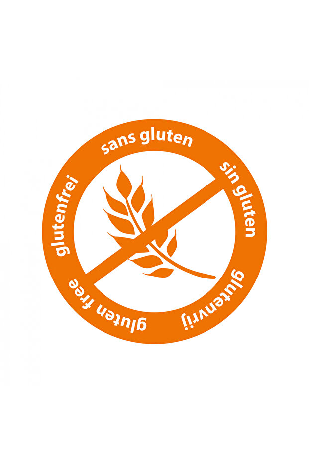 My First - Plasticine Animals - 4