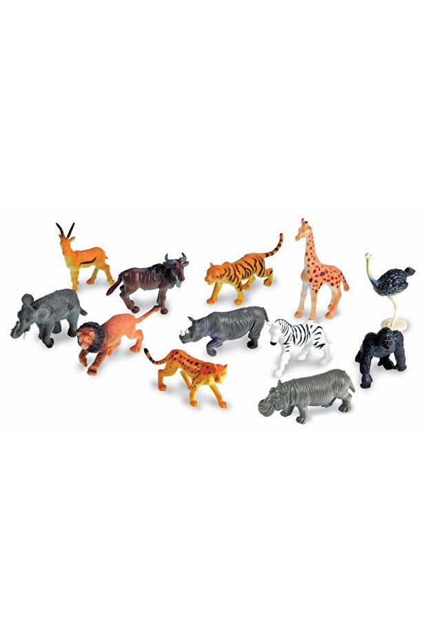 Sorting Set - Jungle Animals - 4