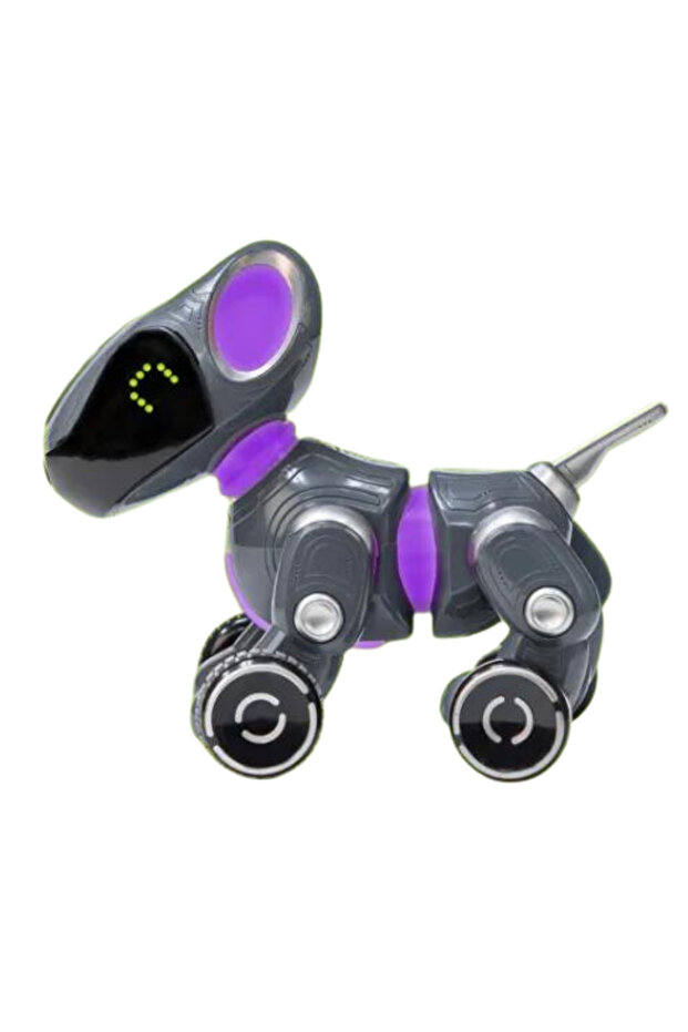 Pyxel - Prietenul programatorului - 1