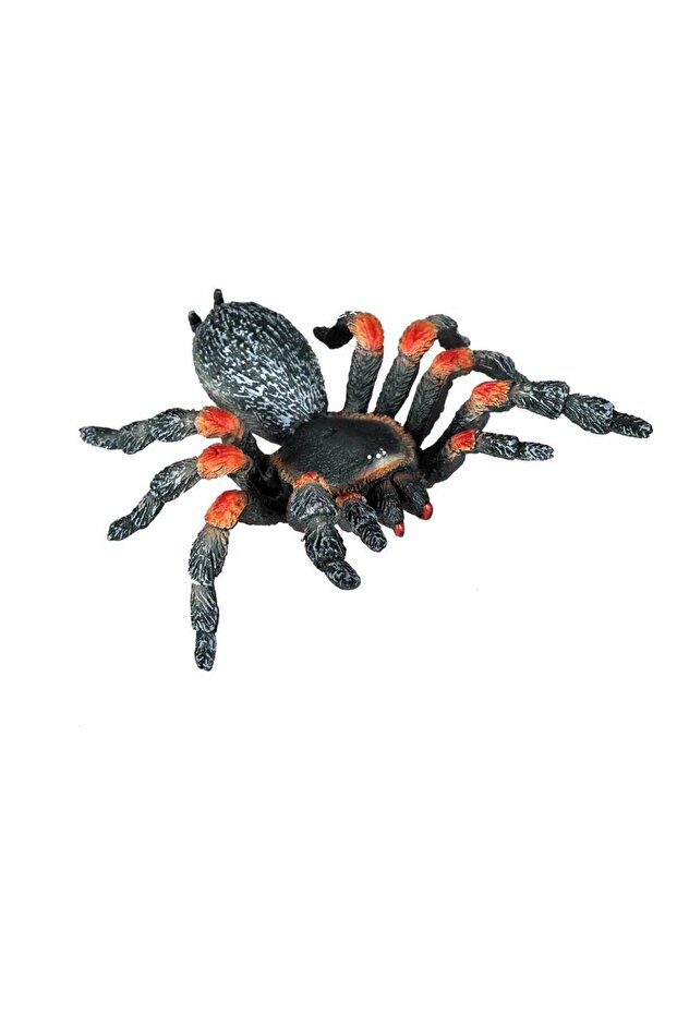 Паяк тарантула - 1