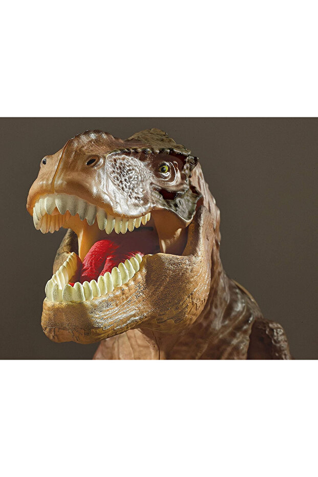 Proiector 2 In 1 - T Rex - 5