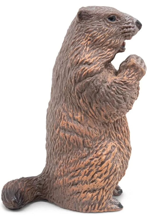 Figurină Castor - 4