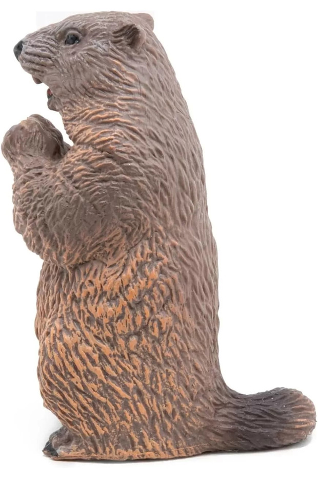 Figurină Castor - 3