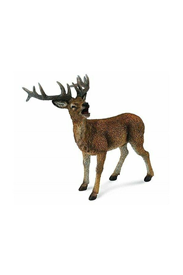 Red Stag - 1