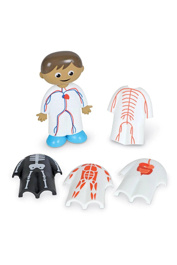 Educational activity set - Human body - 4