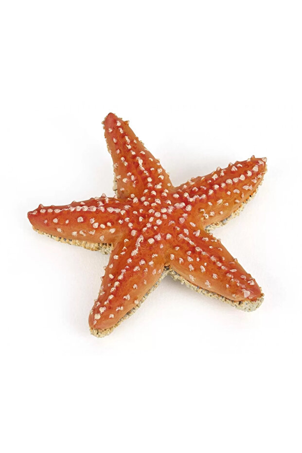 Figurína Stea De Mare - 1