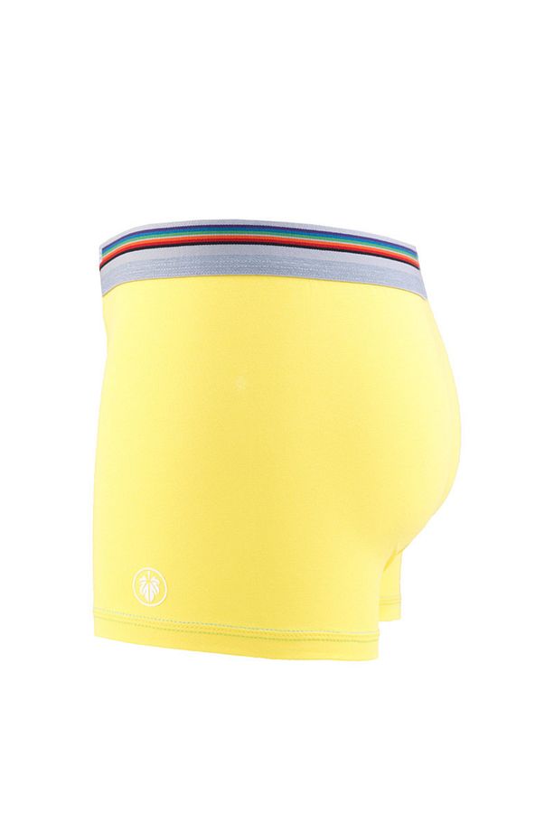 Erkek Pamuk Elastan Boxer Colours 9550 - Sarı - 3
