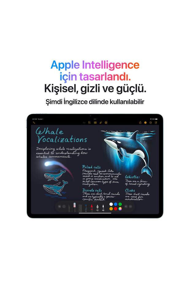 iPad Air 11 inç Wi-Fi 1TB MCAH4TU/A - Uzay Grisi - 5