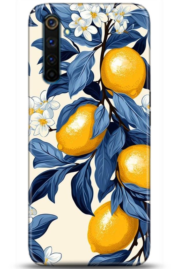 6 Pro Case Hd Printed Case - Mastermind Series 5229